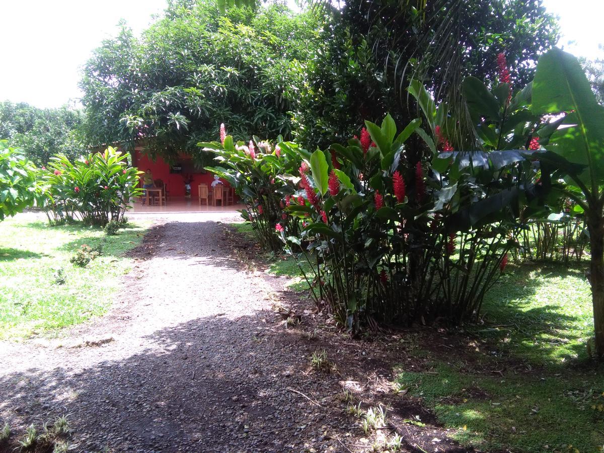 Paraiso Volcano Lodge Guayabo  外观 照片