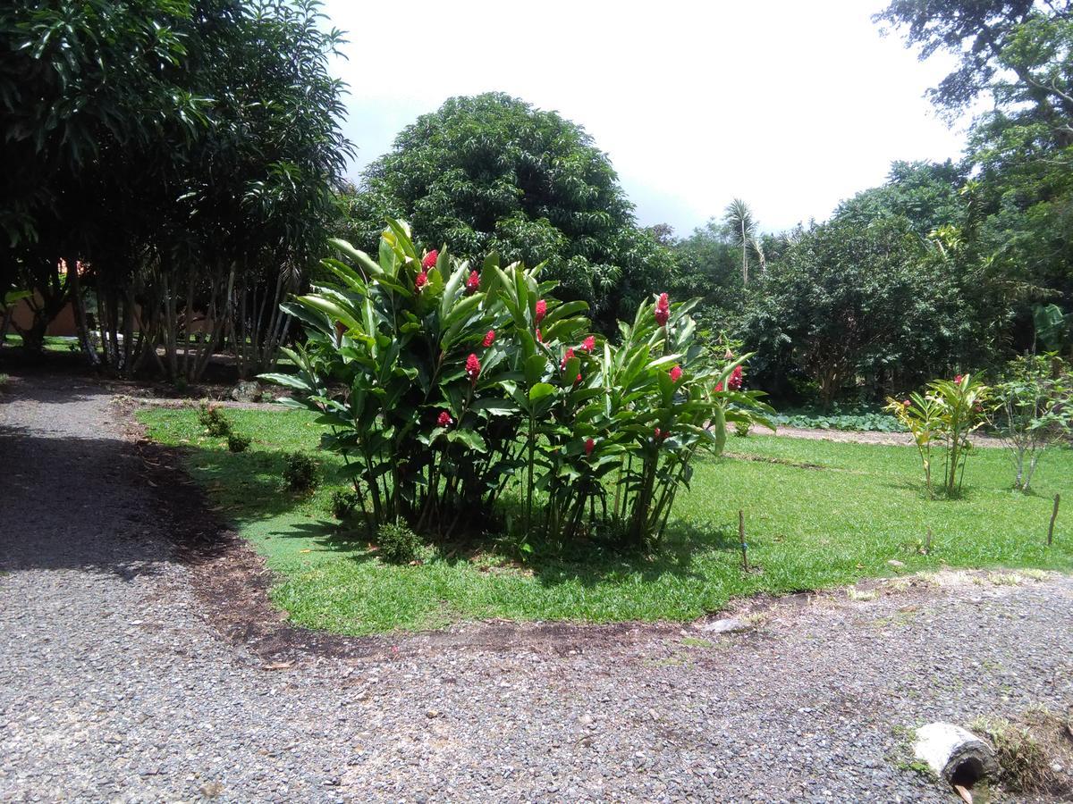 Paraiso Volcano Lodge Guayabo  外观 照片