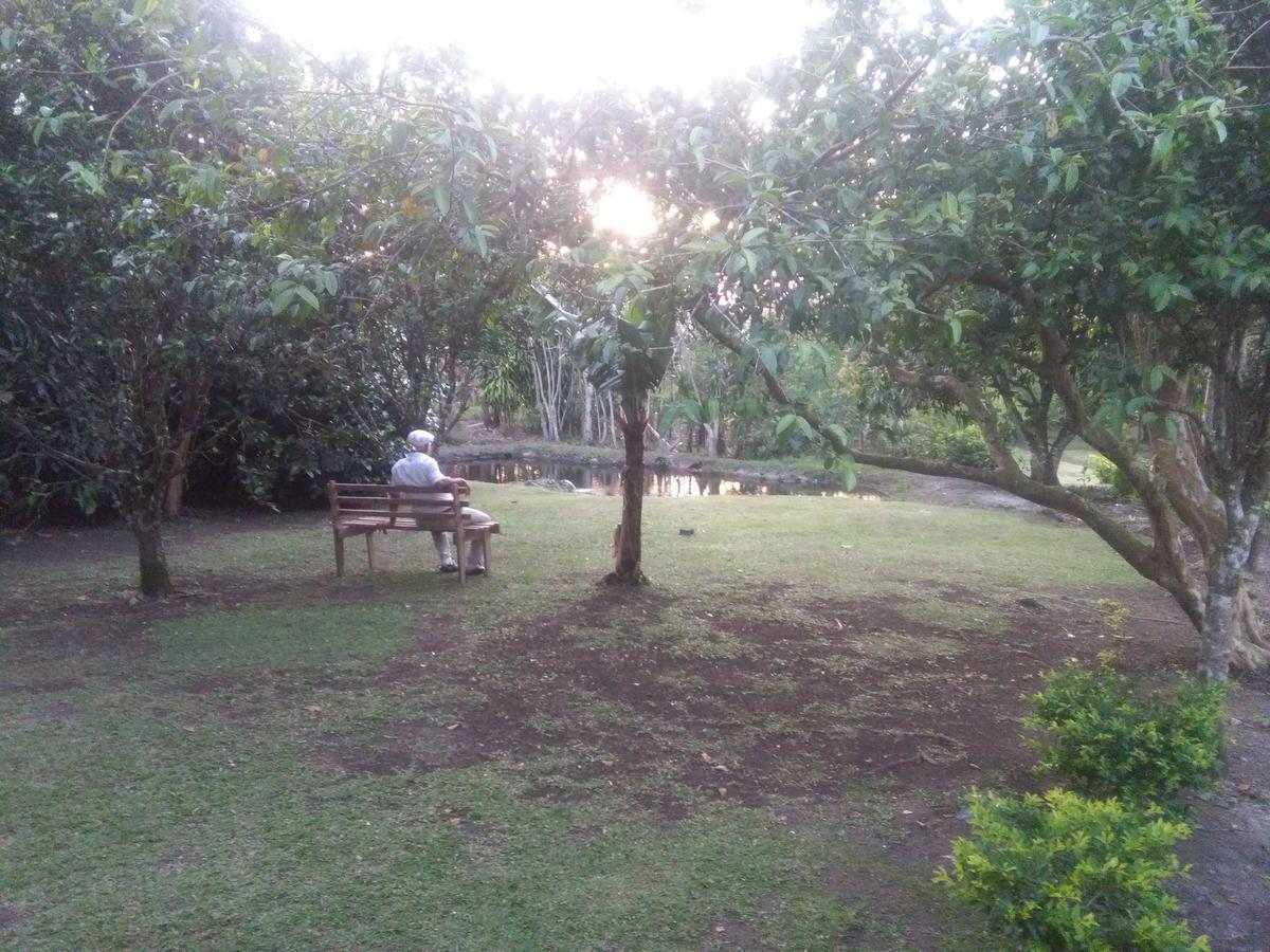 Paraiso Volcano Lodge Guayabo  外观 照片