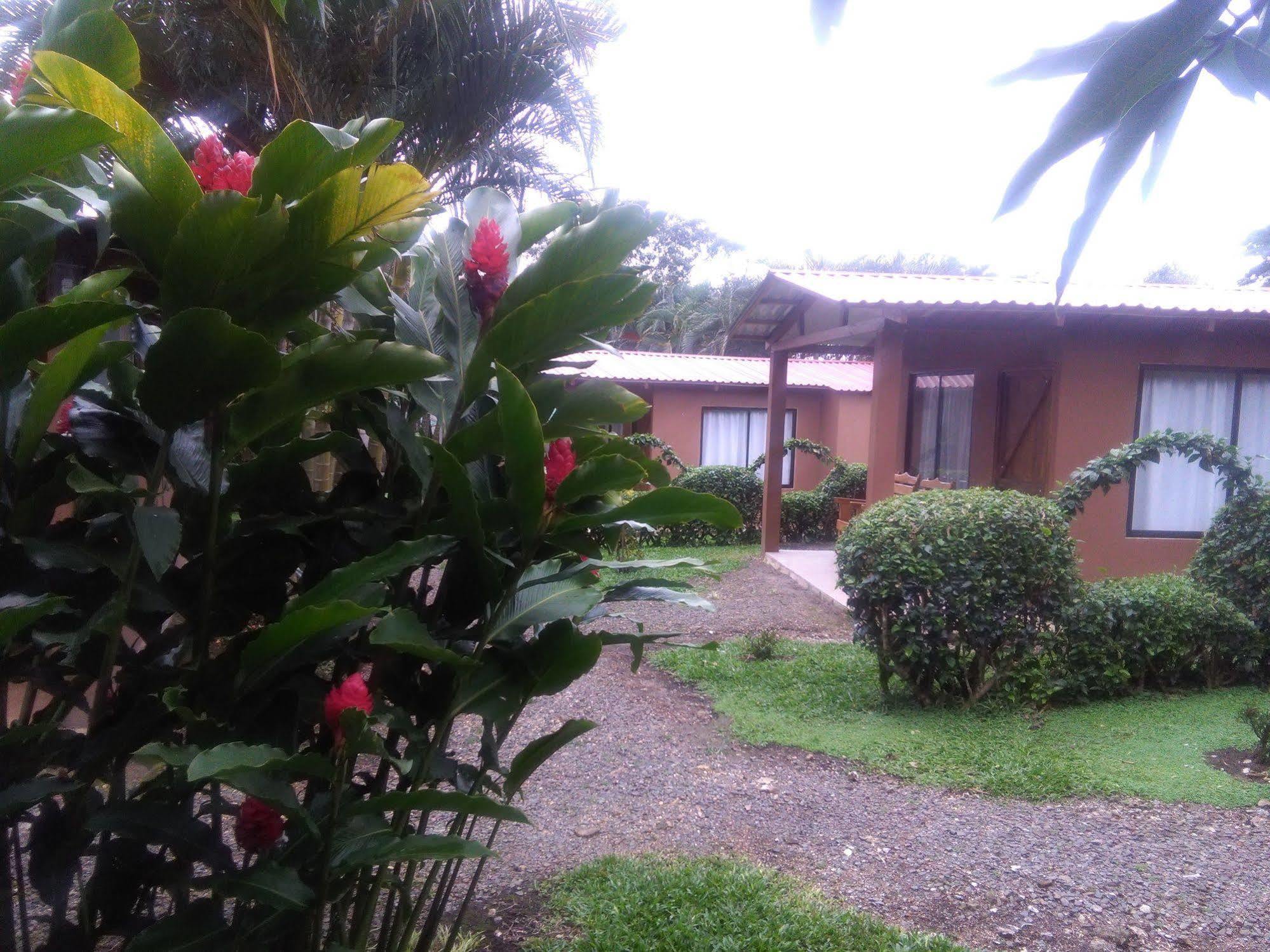 Paraiso Volcano Lodge Guayabo  外观 照片