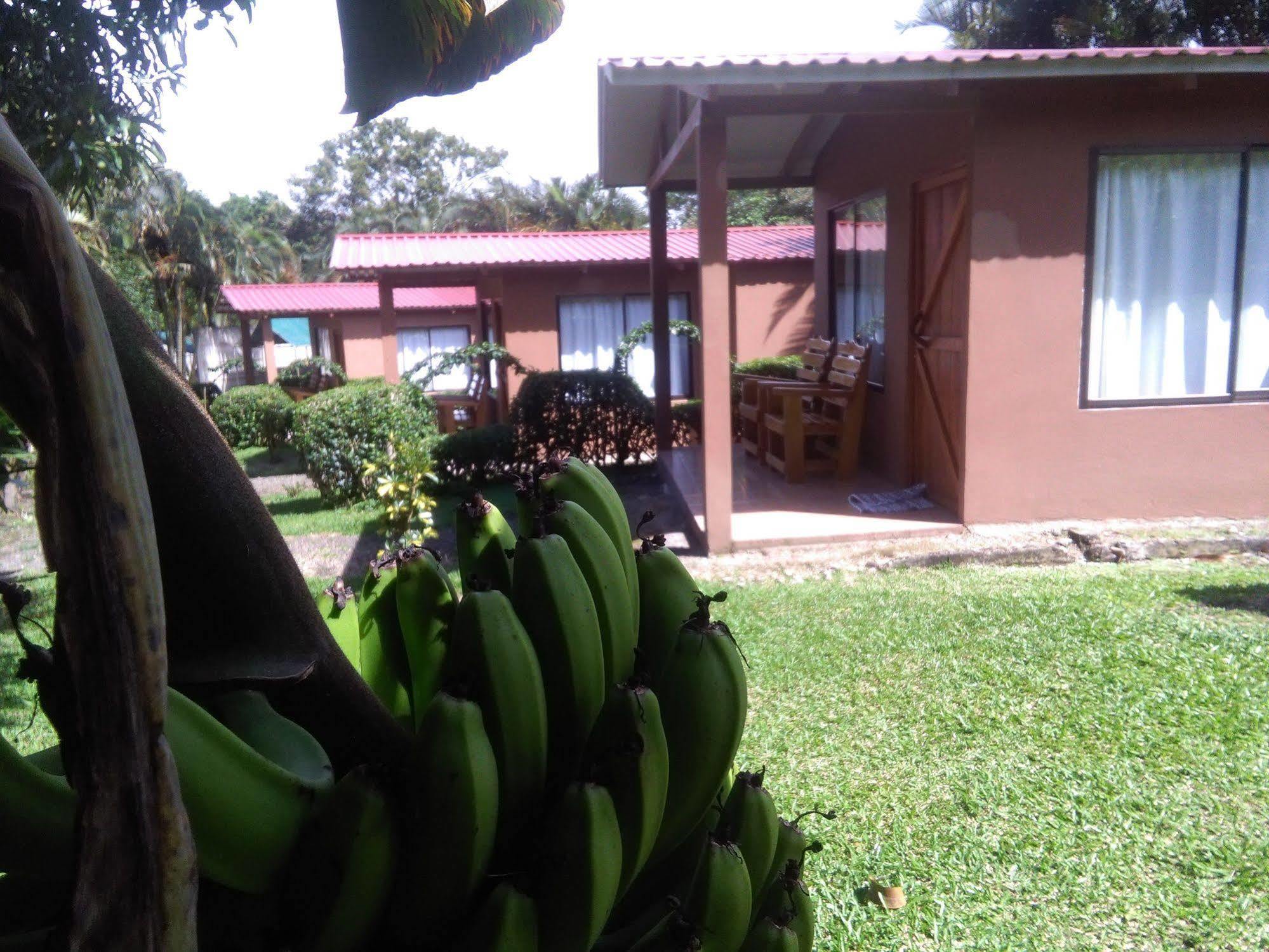 Paraiso Volcano Lodge Guayabo  外观 照片